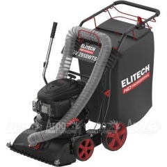 Пылесос садовый бензиновый Elitech HD GV 2958WTS (E1608.008.00) в Волгограде