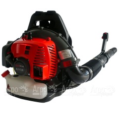 Воздуходувка бензиновая EVOline BLG 42 BP в Волгограде