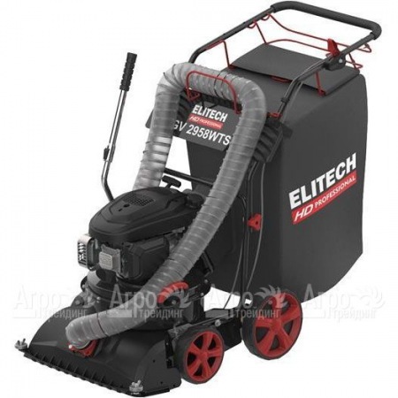 Пылесос садовый бензиновый Elitech HD GV 2958WTS (E1608.008.00) в Волгограде