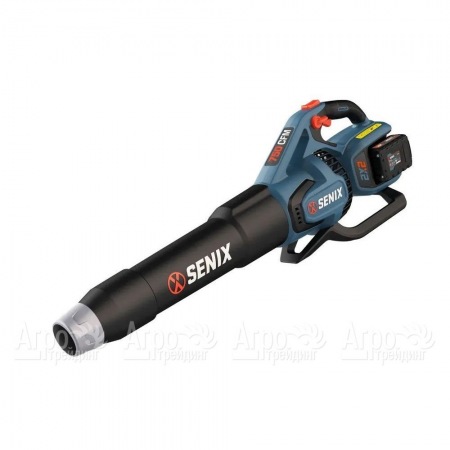 Воздуходувка аккумуляторная Senix BLAX2-M2-EU в Волгограде