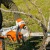 Аккумуляторная пила Stihl MSA 220 C-BQ-14" (без аккумулятора и зарядного устройства) в Волгограде